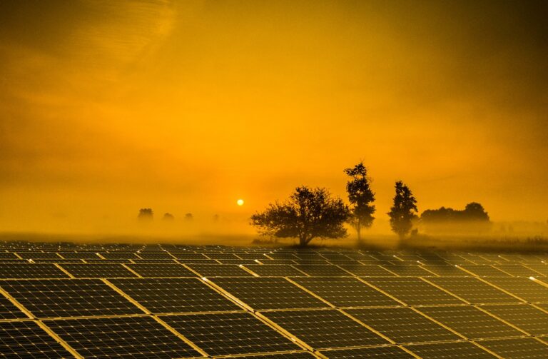 Lohnt es sich, Photovoltaik-Freiflächenanlagen zu errichten? Vorteile und Nachteile dieser Lösung